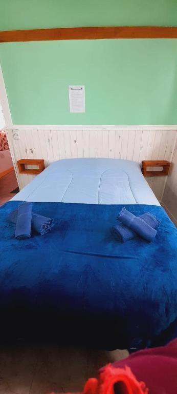 إل تشالتين Hostel Cerro Torres المظهر الخارجي الصورة